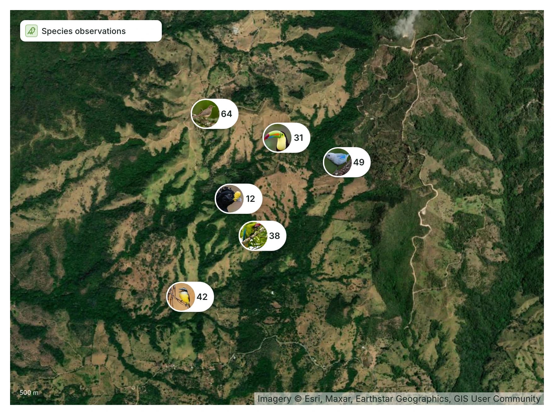 Illustrative species observations on a satellite map: six species, each a photo with its detection count