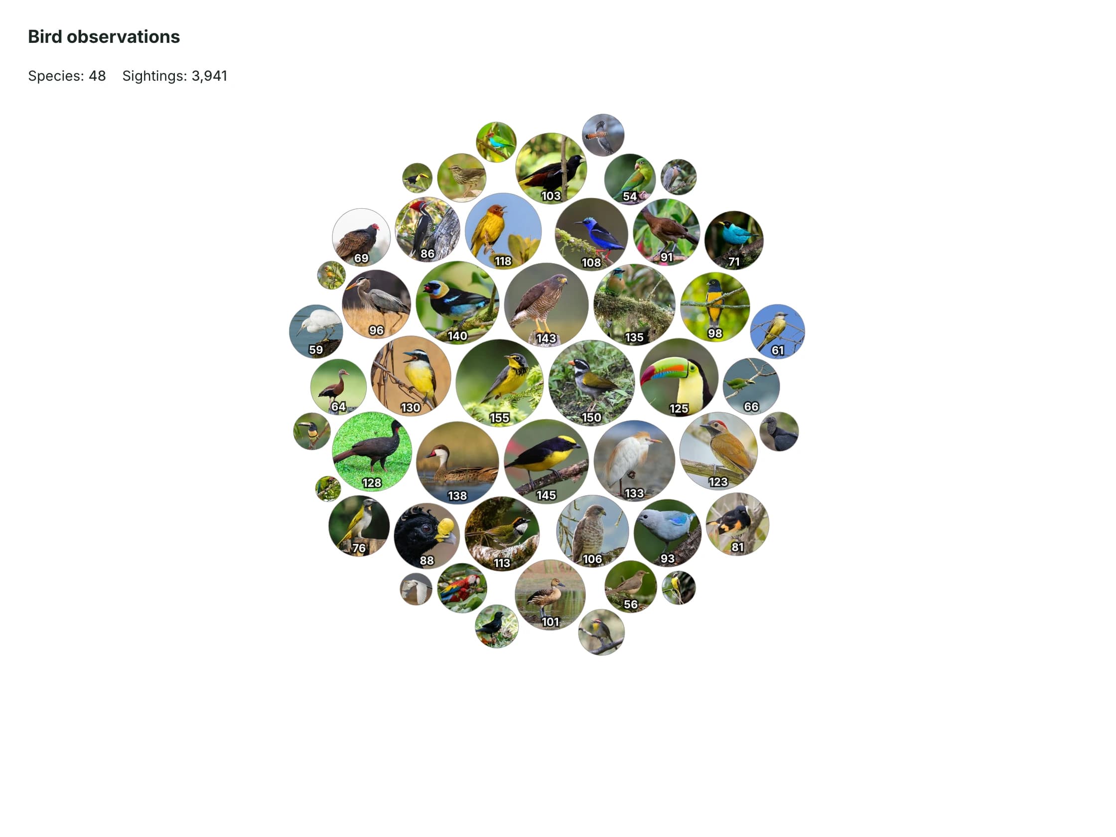 Species observations grouped into a circle-pack visualisation