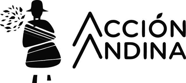 Acción Andina