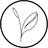 Kijani