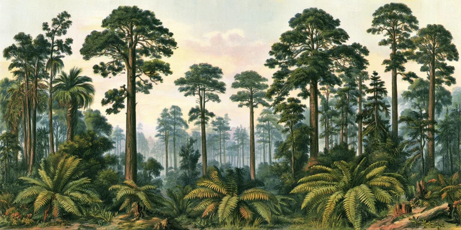 Illustrated misty forest with flowering shrubs and tall palms