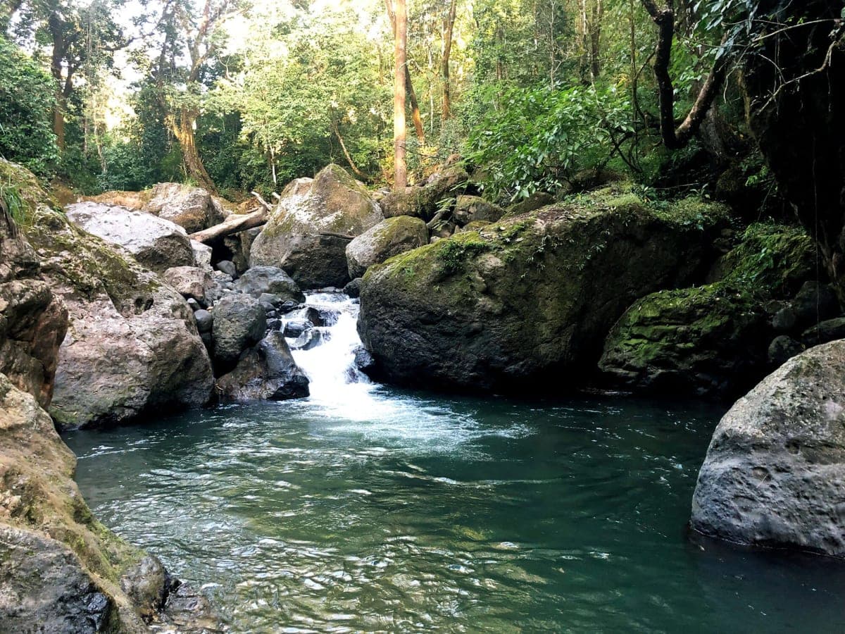 The Río Machuca, from Amigos del Río Machuca