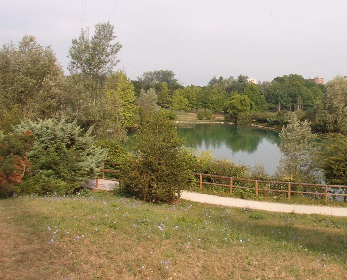 Trees around the lake in Parco della Pellerina, Turin