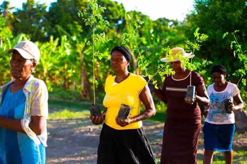 People carrying seedlings in Haiti, from Coldplay’s sustainability programme
