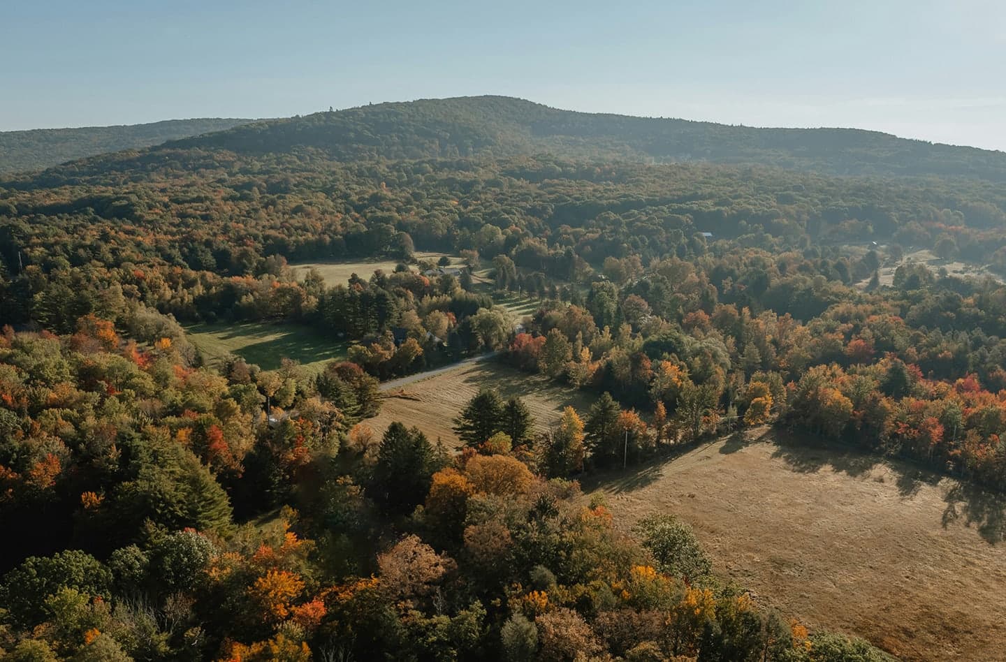 Forested hills and open fields in autumn light
