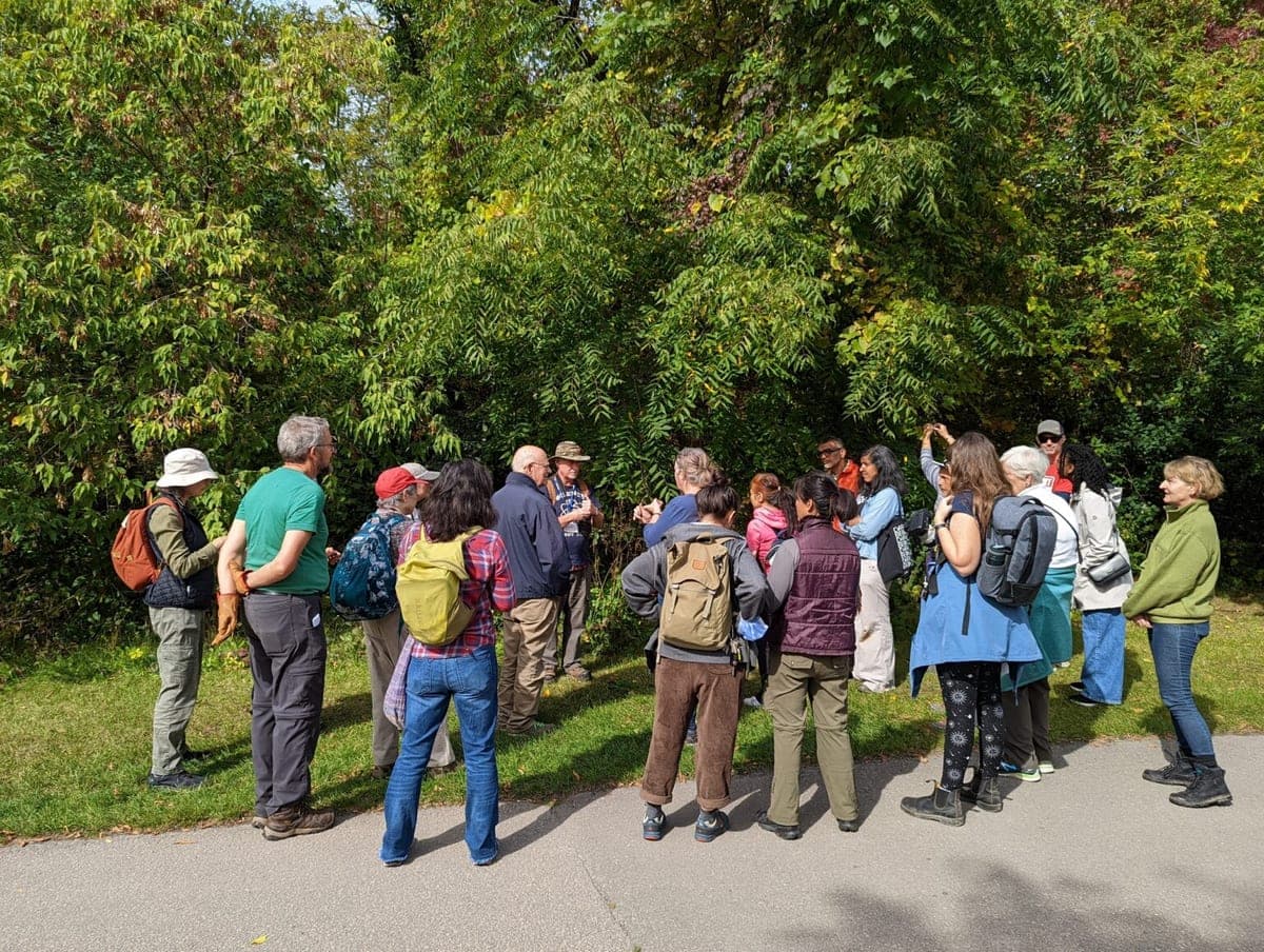Toronto Nature Stewards volunteers gathered beside a ravine woodland