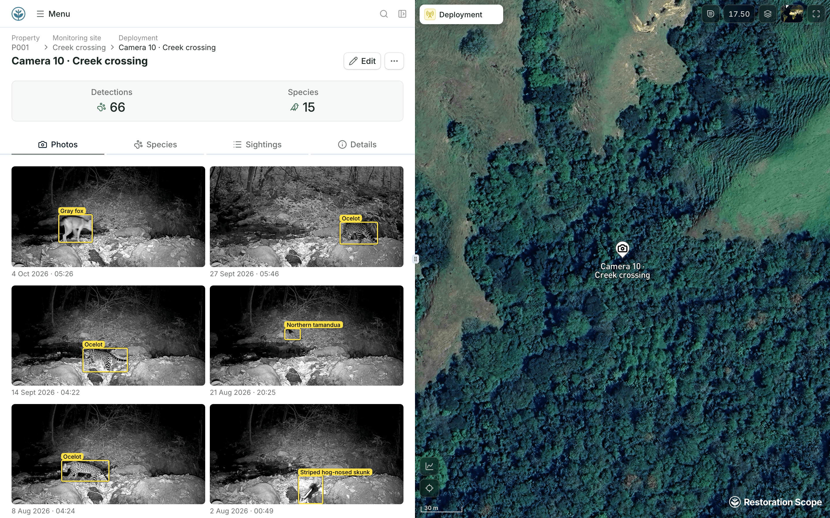 A demo camera-trap page with a grid of real camera-trap photos and a box around each animal
