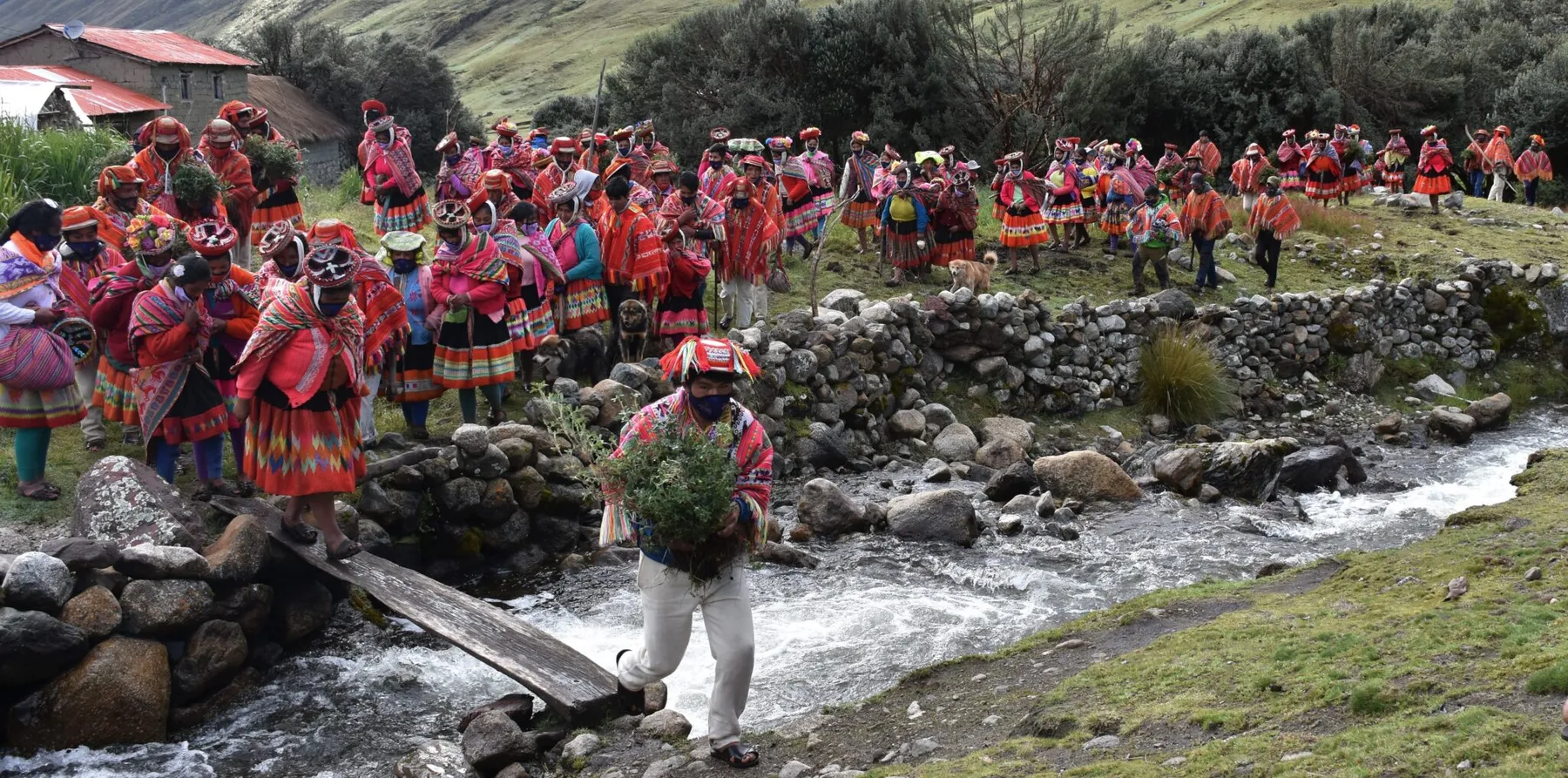 Community members carrying seedlings across a stream in the Andes