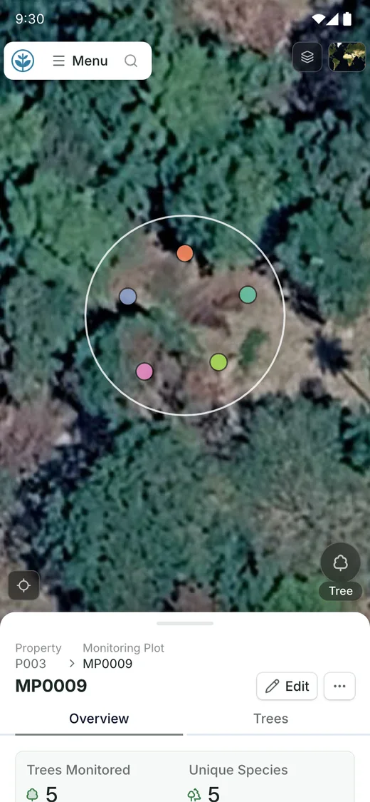Demo monitoring plot on a phone: the plot circle and its five tree points on the map, the record name and trees monitored below