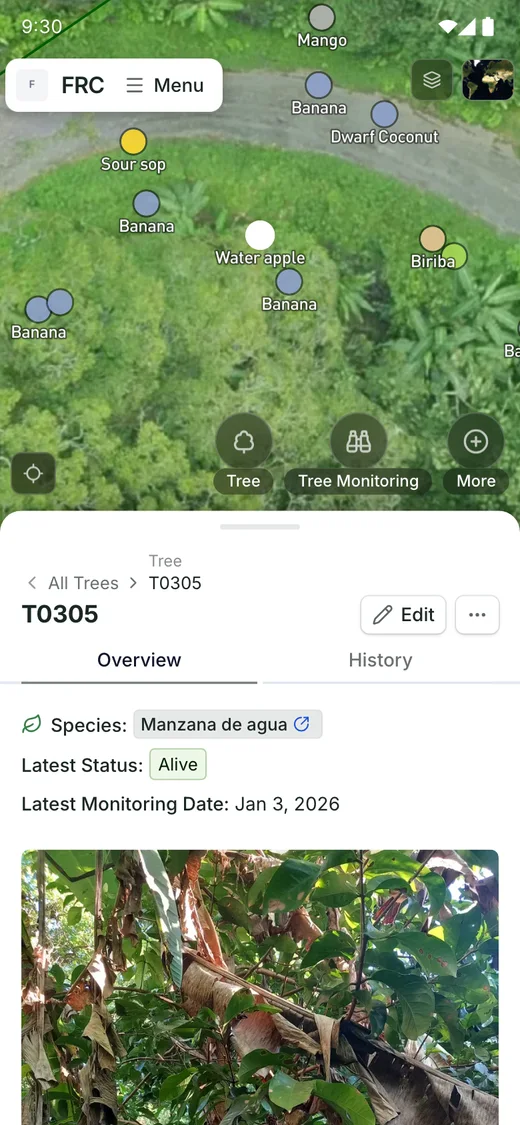 FRC tree T0305 mobile record with its species, condition and attached field photo